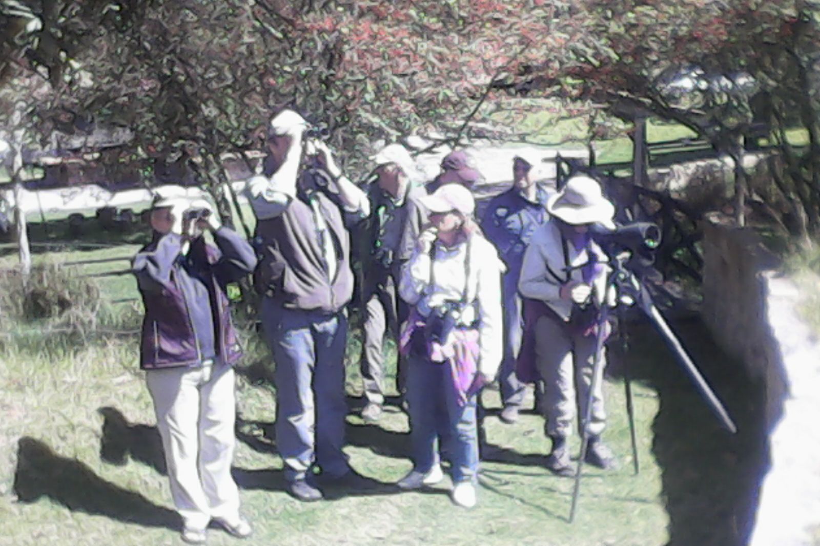 IMG-20151116-WA0006