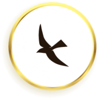 Avistamiento de Aves