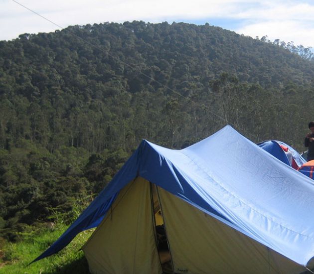 imagenes-2-005-crop-u4871